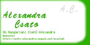 alexandra csato business card